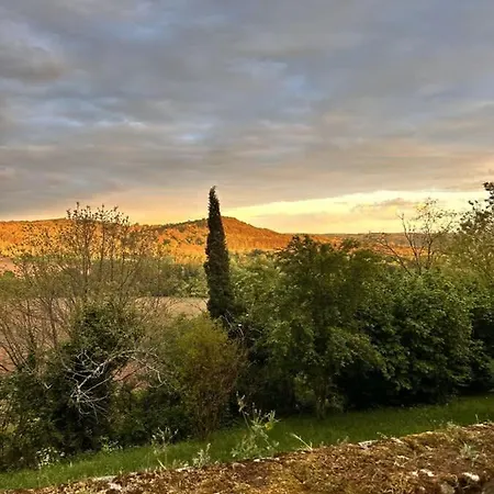 With Garden And Lovely View